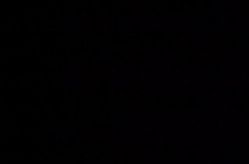 Whores Craving for Cum