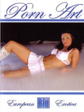 Porn Art DVD Cover
