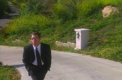 Busy Man... Crazy Lady