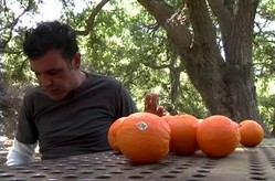 Orange Juice