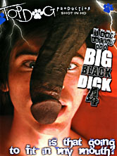 I Got Fucked By a Big Black Dick #4 DVD Cover