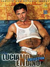 The Luciano Endino Collection DVD Cover